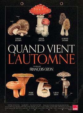 秋日何时来[电影解说]