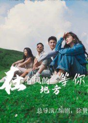 小海豹失踪记[电影解说]