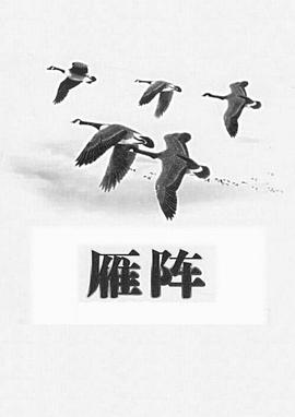 雁阵1991[电影解说]